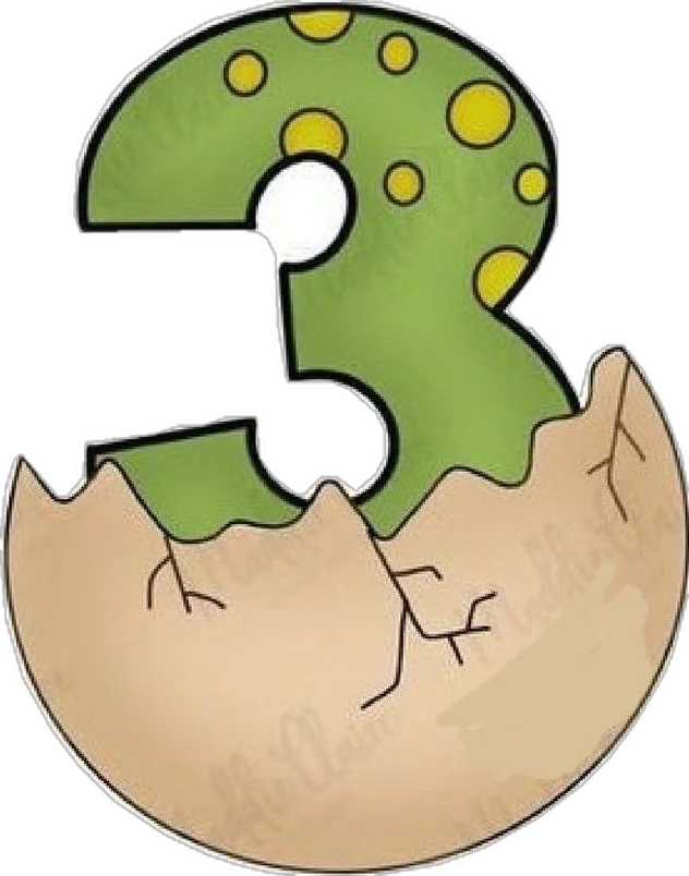 3 year old birthday child